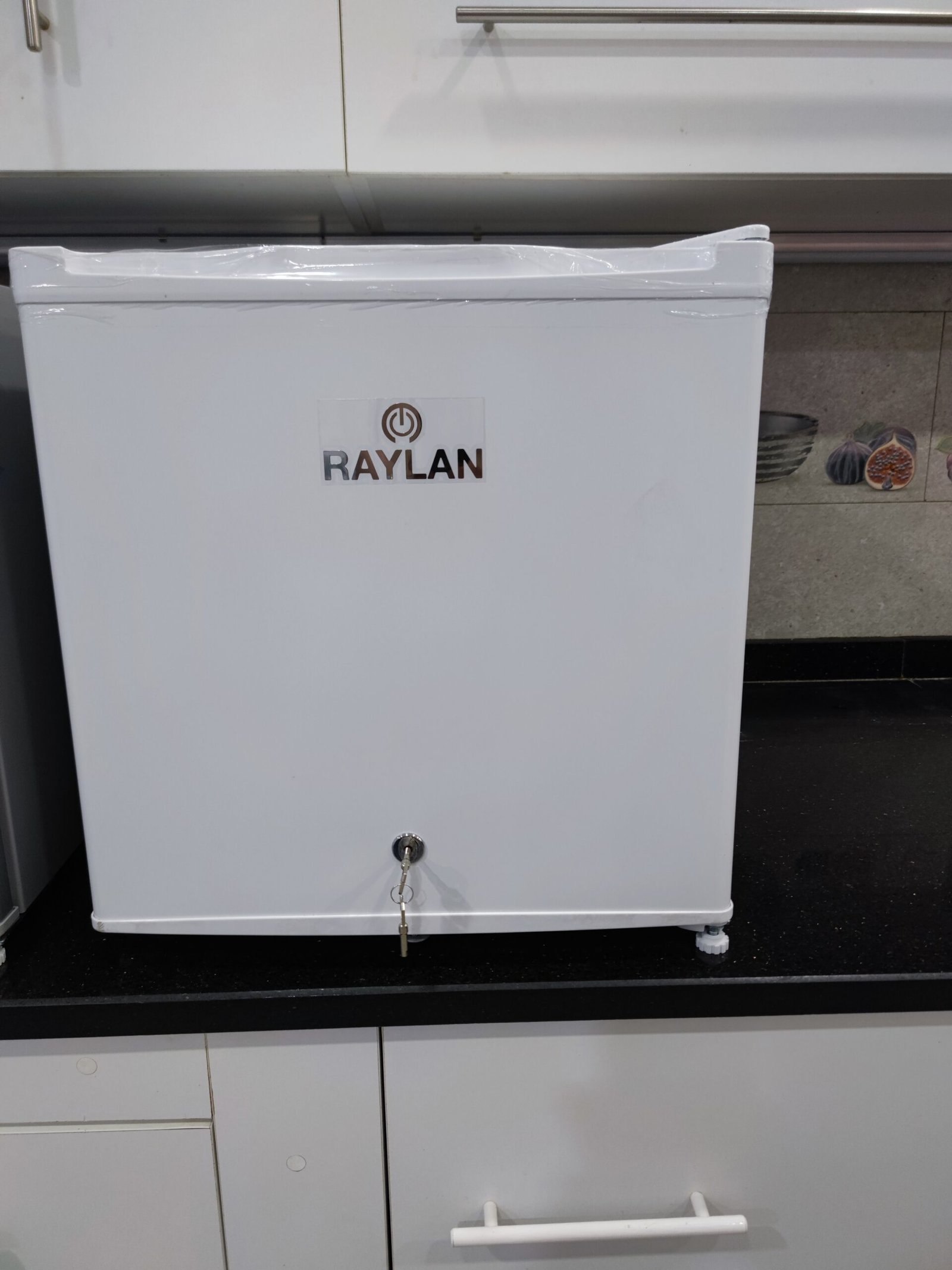 Réfrigérateur Mini bar Raylan 47 litres