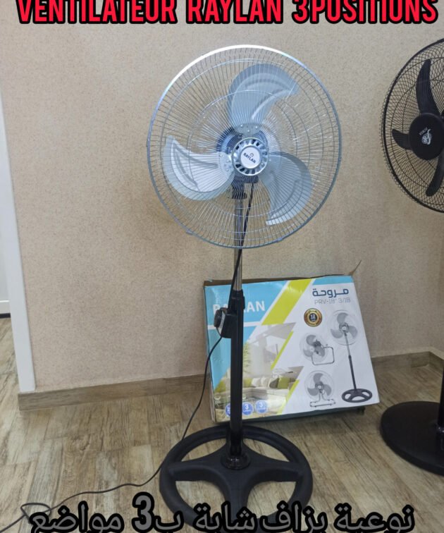 Ventilateur RAYLAN 3 positions haute qualité